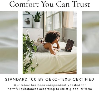 Bamboo Bay 6 Piece Queen Size Sheet Set, 100% Viscose Made from Bamboo, Breathable Ultra Soft Cooling Bed Sheets for Hot Sleepers, Beddings with Deep Pockets Fit 16" Mattress, Ivory