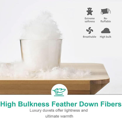APSMILE Luxurious Queen Size Down Feather Fibers Comforter, Ultra-Soft All Season Duvet Insert, Fluffy Hotel Collection Down Feather Fibers Comforter with 8 Ties(90x90, White)