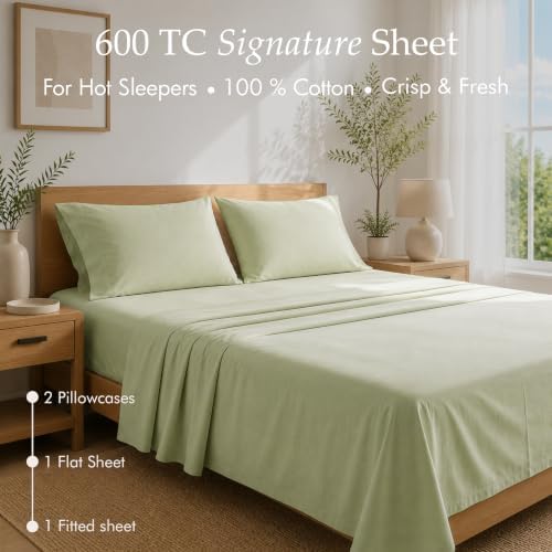 Threadmill 600 Thread Count Cotton King Sheet Set, Sateen, Sage Green