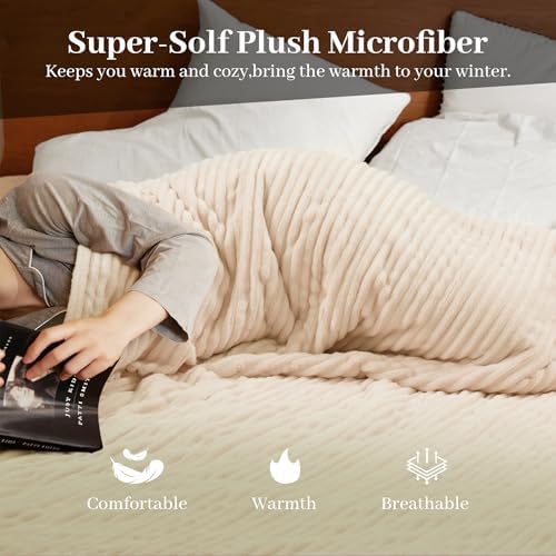 Texciting Heated Blanket Queen Size,Electric Blanket,ETL Certified,Beige