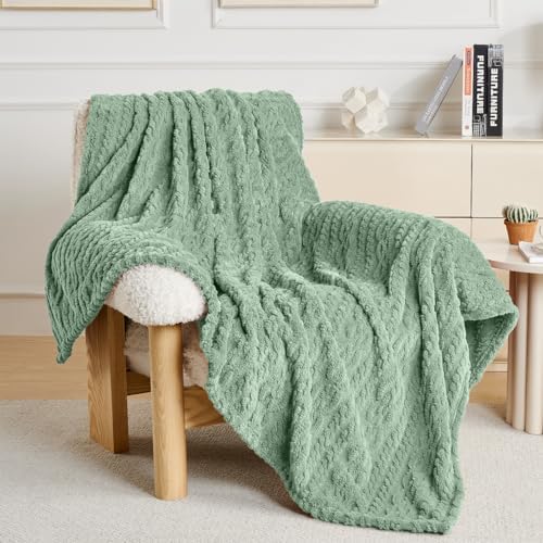 Green Throw Blanket - Soft & Fluffy Fleece, Cute & Aesthetic, Perfect for Sofa, Couch, Chair, Bed, Living Room & Bedroom, All-Season Use, Plush & Cozy Decorative Blanket 50x60