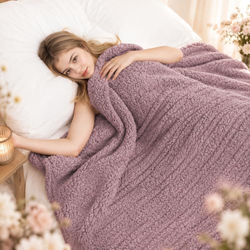 Electric Heated Blanket Queen Size 84"×90" Dual Control, 9 Heating Settings & 1-10Hs Auto Off, Overheat Protect, Double-Sided Sherpa, for Couch & Bed, Machine Washable Gifts for Women- Light Purple