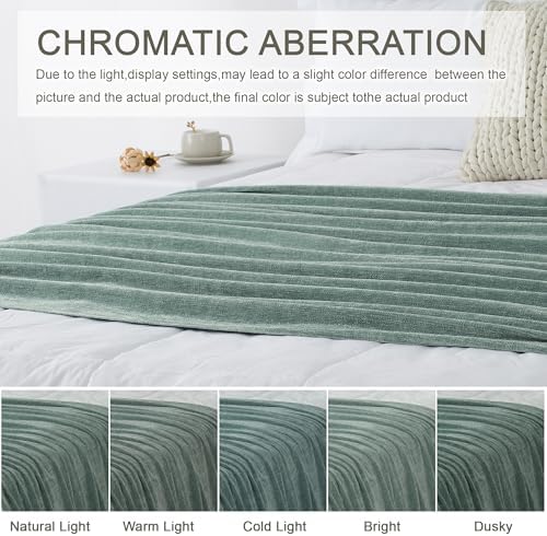 Chenille Throw Blanket for Couch 50" x 60", Sage Green