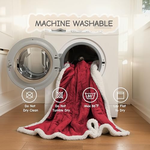 Soypipo Electric Heated Blanket 72"x84", 9 Heat Settings 10-Hour Auto-Off