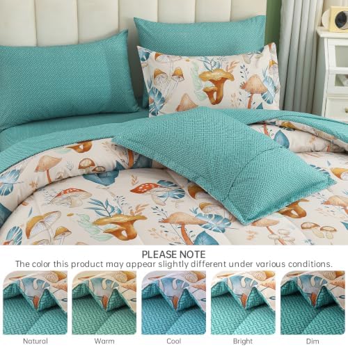 Dinjoy Girls Comforter Set 6 Pieces, Twin Size Colorful Ombre Rainbow Bedding Set, Bed in A Bag for Kid Teen Girls (1 Comforter, 1 Flat Sheet, 1 Fitted Sheet, 1 Pillow Shams, 2 Pillowcases)