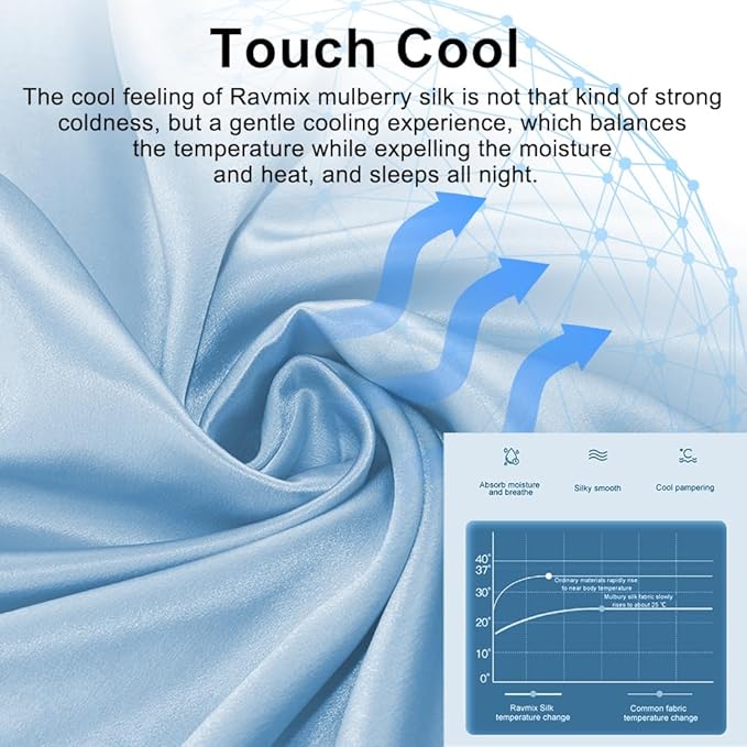Silk Pillowcase for Hair and Skin with Hidden Zipper, Ravmix Both Sides 21Momme Mulberry Silk Cooling Pillow Case Standard Size 20×26inches, 1PCS, Light Blue