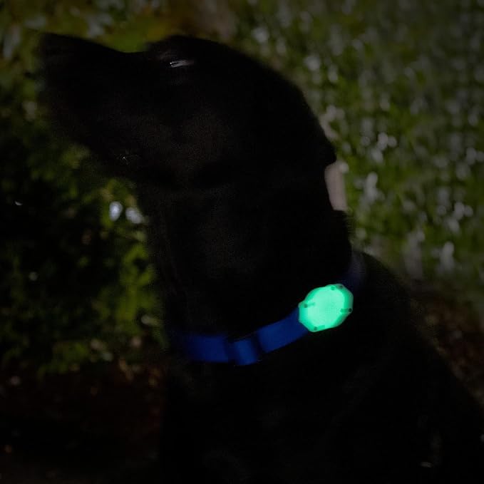 AirTag Dog Collar Holder - Waterproof - Elevation Lab (2 Pack) | Secure, Durable, Fits Any Collar Width, Doesn't Dangle, Comfortable, Glow in The Dark