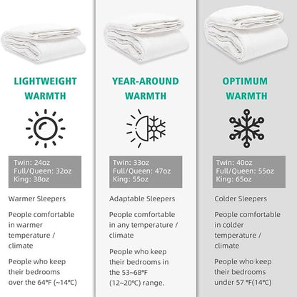 APSMILE Oversized Queen Luxury 100% Organic Cotton All Season Down Feather Fibers Comforter Fluffy Fill-Power Medium Warmth Duvet Insert (98x98, Ivory White)