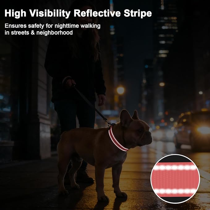 Taglory AirTag Dog Collar with Waterproof Holder for Large Dogs, Baby Pink | Reflective for Night Walks & Low-Light Safety, Track Your Pup Peace of Mind, Adjustable Soft Padded, No More Dangling Tags XL