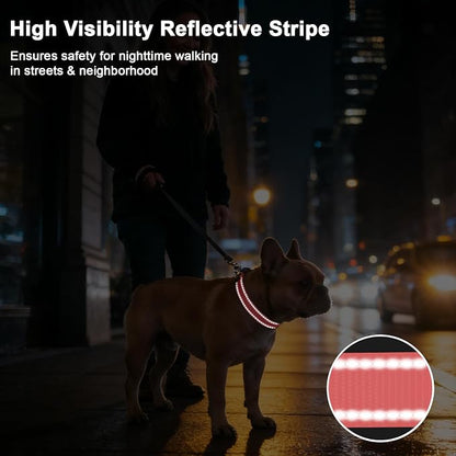 Taglory AirTag Dog Collar with Waterproof Holder for Medium Dogs, Baby Pink | Reflective for Night Walks & Low-Light Safety, Track Your Pup Peace of Mind, Adjustable Soft Padded, No More Dangling Tags M