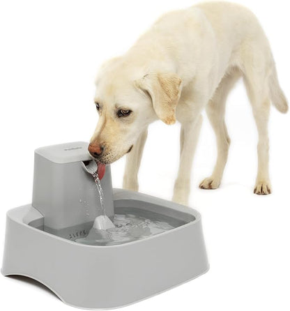 PetSafe Oasys 2 Gallon Pet Fountain | Adjustable Water Flow, Whisker-Friendly Tray, Dishwasher-Safe, Replaceable Carbon & Foam Filters Included