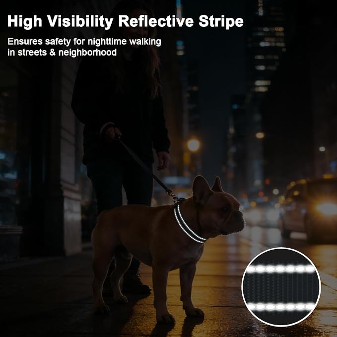 Taglory AirTag Dog Collar with Waterproof Holder for Large Dogs, Gray, L | Reflective for Night Walks & Low-Light Safety, Track Your Pup Peace of Mind, Adjustable Soft Padded, No More Dangling Tags