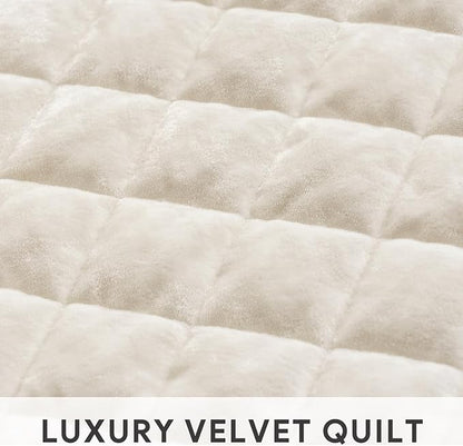RECYCO Luxury Velvet Quilt Set, California King 118'' x 106'' Oversized Bedspread, Ultra Soft Velvet Comforter, Lightweight Box Stitch Bedding Sets for All Season, with 2 Shams, Cream White