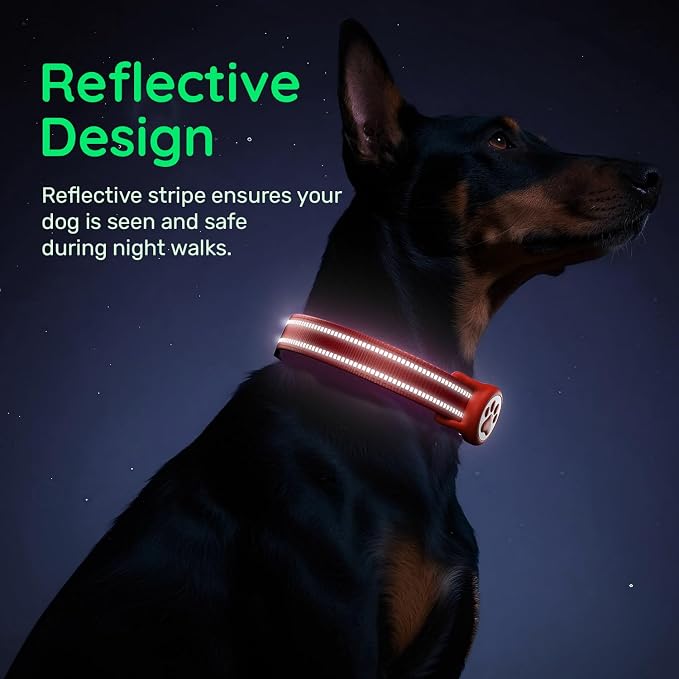 Airtag Dog Collar, Reflective Ultra-Durable Nylon Padded with QR Code Buckle & IP68 Waterproof Air Tag Holder Compatible for Apple AirTag, Comfortable for Small Medium Large Dogs(Red,S)