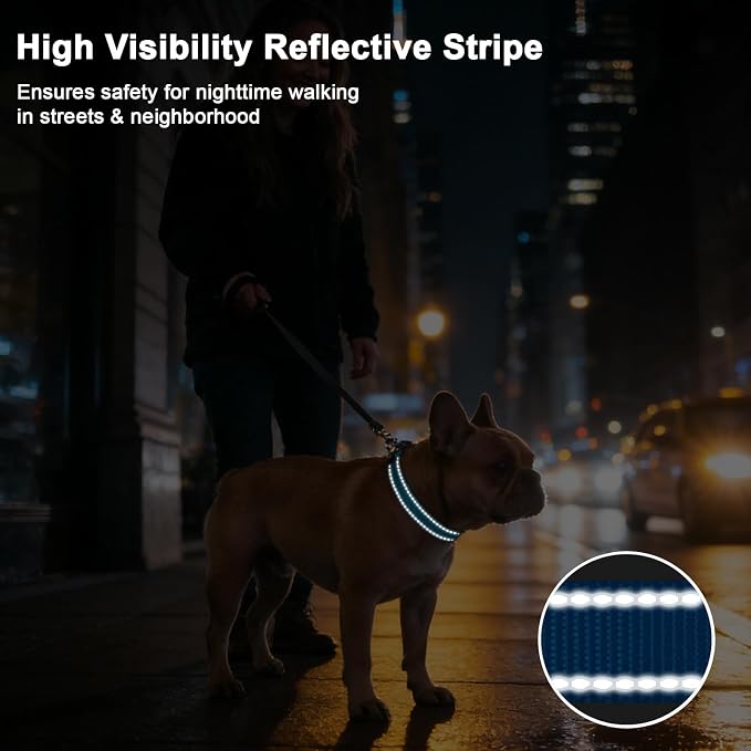 Taglory AirTag Dog Collar with Waterproof Holder for Small Dogs, SkyBlue, S | Reflective for Night Walks & Low-Light Safety, Track Your Pup Peace of Mind, Adjustable Soft Padded, No More Dangling Tags