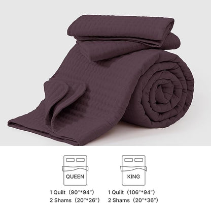 WRENSONGE Queen Quilt-3 Pieces Lightweight Bedspreads Italian Plum Queen Size Quilt Bedding Set for All Seasons, Soft Summer Coverlet with 2 Pillow Shams Suitable for Bed, Couch