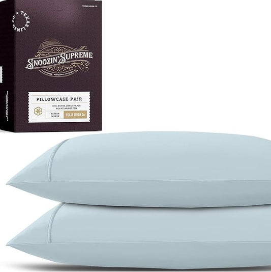 TEXAS LINEN CO. 100% Egyptian Cotton Pillowcases Queen Size Set of 2 - Luxury 2000 Series Standard/Queen Pillow Cases, Soft, Envelope Closure Hotel Quality Pillowcase (21 x 32, Light Blue)