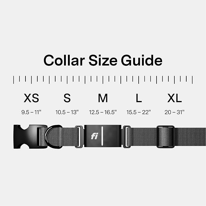 Fi Series 3+ GPS + Health Dog Collar, Gray, X-Small, 12-Month Membership | Smart GPS dog collar with live tracking, health & behavior, Escape Alerts, LED light. Waterproof and Apple Watch compatible.