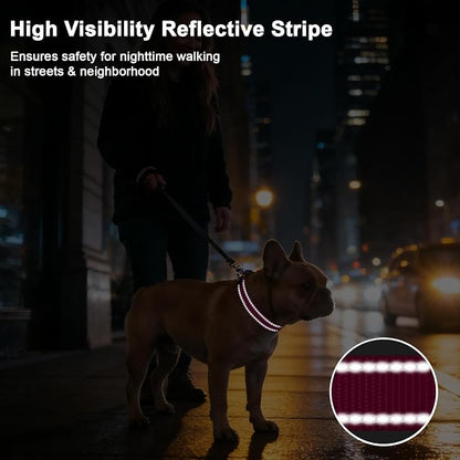 Taglory AirTag Dog Collar with Waterproof Holder for Large Dogs, Hot Pink | Reflective for Night Walks & Low-Light Safety, Track Your Pup Peace of Mind, Adjustable Soft Padded, No More Dangling Tags XL