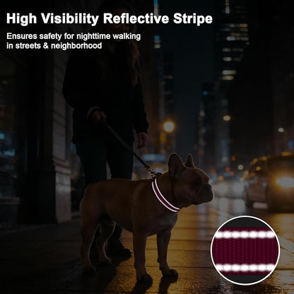 Taglory AirTag Dog Collar with Waterproof Holder for Medium Dogs, Hot Pink | Reflective for Night Walks & Low-Light Safety, Track Your Pup Peace of Mind, Adjustable Soft Padded, No More Dangling Tags M