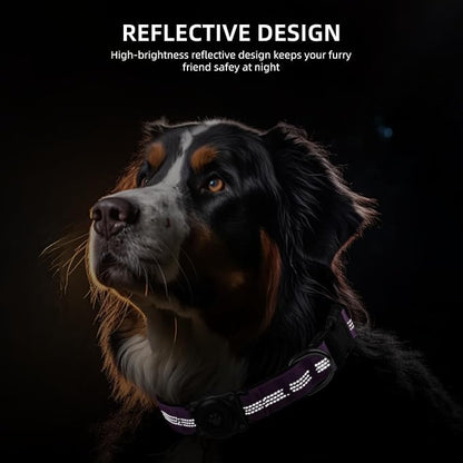 Upgrade Dog Collar with AirTag Holder, IP68 Waterproof, Purple, M | Built-in Water Resistant AirTag holder, 1000D Nylon, Reflective Stitching for Night Visibility, Soft padding for Comfort