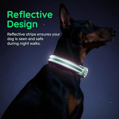Airtag Dog Collar, Reflective Ultra-Durable Nylon Padded with QR Code Buckle & IP68 Waterproof Air Tag Holder Compatible for Apple AirTag, Comfortable for Small Medium Large Dogs(Green,S)