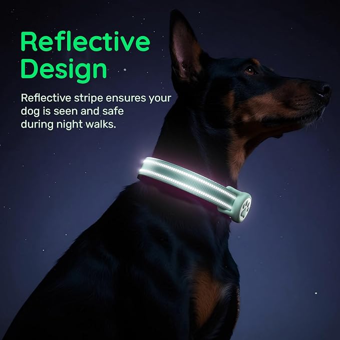 Airtag Dog Collar, Reflective Ultra-Durable Nylon Padded with QR Code Buckle & IP68 Waterproof Air Tag Holder Compatible for Apple AirTag, Comfortable for Small Medium Large Dogs(Green,L)
