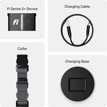Fi Series 3+ GPS + Health Dog Collar, Gray, X-Large, 12-Month Membership | Smart GPS dog collar with live tracking, health & behavior, Escape Alerts, LED light. Waterproof and Apple Watch compatible.