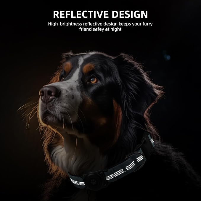 Upgrade Dog Collar with AirTag Holder, IP68 Waterproof, Light Blue, XS | Built-in Water Resistant AirTag holder, 1000D Nylon, Reflective Stitching for Night Visibility, Soft padding for Comfort