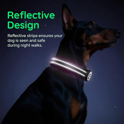 Airtag Dog Collar, Reflective Ultra-Durable Nylon Padded with QR Code Buckle & IP68 Waterproof Air Tag Holder Compatible for Apple AirTag, Comfortable for Small Medium Large Dogs(Purple,S)