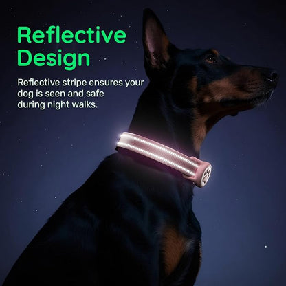 Airtag Dog Collar, Reflective Ultra-Durable Nylon Padded with QR Code Buckle & IP68 Waterproof Air Tag Holder Compatible for Apple AirTag, Comfortable for Small Medium Large Dogs(Pink,M)
