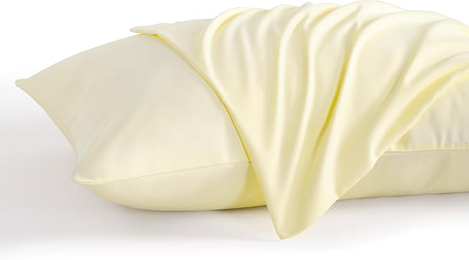 NTBAY Queen Pillow Cases Set of 2, 2 Pack Brushed Microfiber 20x30 Pillow Cases, Soft, Wrinkle, Fade, Stain Resistant Ivory Pillow Cases with Envelope Closure, 20x30 Inches, Ivory