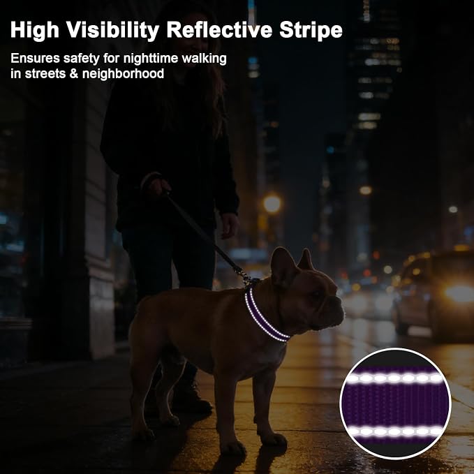 Taglory AirTag Dog Collar with Waterproof Holder for Puppy, Red, XS | Reflective for Night Walks & Low-Light Safety, Track Your Pup Peace of Mind, Adjustable Soft Padded, No More Dangling Tags