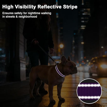 Taglory AirTag Dog Collar with Waterproof Holder for Puppy, Red, XS | Reflective for Night Walks & Low-Light Safety, Track Your Pup Peace of Mind, Adjustable Soft Padded, No More Dangling Tags