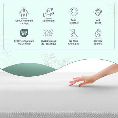 Feather & Stitch Softest 100% Cotton Sheets, 300 Thread Count Percale Weave Bedding, 16" Deep Pocket, Cooling Sheets, Breathable Bed Set, Hotel Premium Quality (Queen, White)