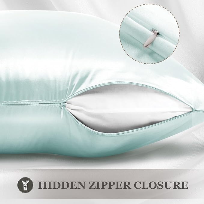 Adubor 100% Silk Pillowcase - Mulberry Silk Pillow Cases, 22 Momme 6A Grade Fibers, Silk Pillow Case for Hair and Skin Health, with Hidden Zipper (Standard 20''×26'', Light Green, 1PC)