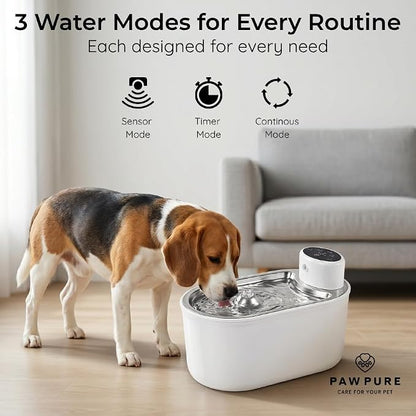 Cat Water Fountain Stainless Steel & Cordless Dog Water Fountain, Automatic Pet Water Dispenser Bowl, Wireless 30-Day Battery, 20dB Ultra-Quiet, for Cats & Small/Medium Dogs, 3L/108oz