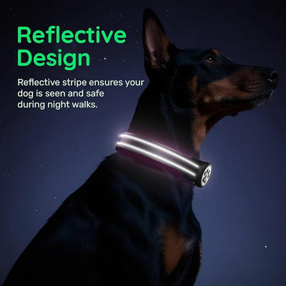 Airtag Dog Collar, Reflective Ultra-Durable Nylon Padded with QR Buckle & IP68 Waterproof Air Tag Holder Compatible for Apple AirTag, Comfortable for Small Medium Large Dogs (Purple,XL)