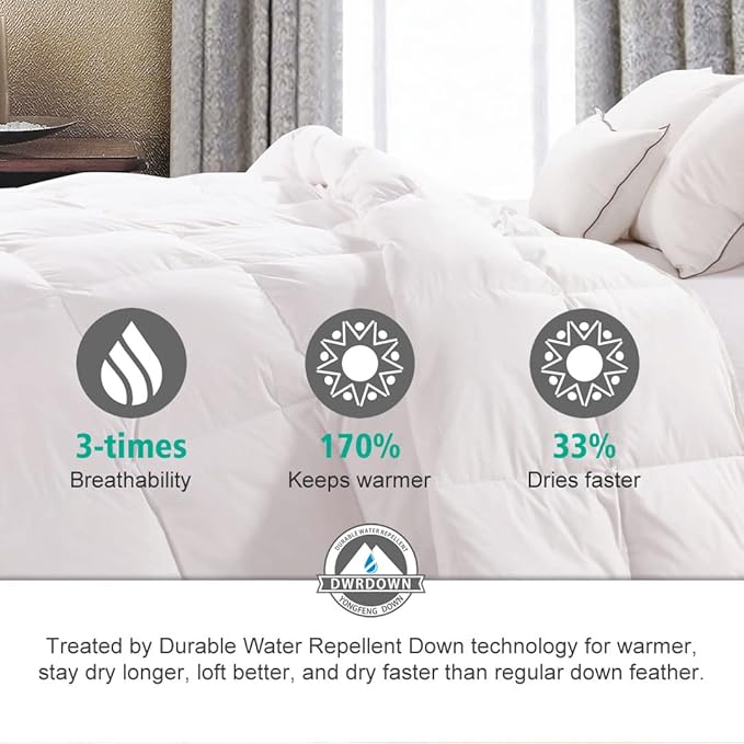APSMILE Luxurious Queen Size Down Feather Fibers Comforter, Ultra-Soft All Season Duvet Insert, Fluffy Hotel Collection Down Feather Fibers Comforter with 8 Ties(90x90, White)
