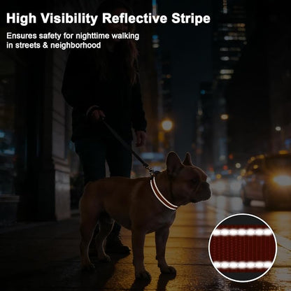 Taglory AirTag Dog Collar with Waterproof Holder for Large Dogs, Orange, L | Reflective for Night Walks & Low-Light Safety, Track Your Pup Peace of Mind, Adjustable Soft Padded, No More Dangling Tags