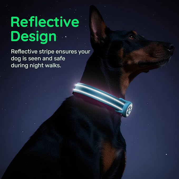Airtag Dog Collar, Reflective Ultra-Durable Nylon Padded with QR Code Buckle & IP68 Waterproof Air Tag Holder Compatible for Apple AirTag, Comfortable for Small Medium Large Dogs(Blue,M)