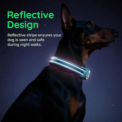 Airtag Dog Collar, Reflective Ultra-Durable Nylon Padded with QR Code Buckle & IP68 Waterproof Air Tag Holder Compatible for Apple AirTag, Comfortable for Small Medium Large Dogs(Blue,L)