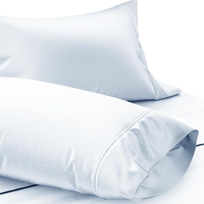 TEXAS LINEN CO. Luxury Egyptian Cotton King Pillow Cases Set of 2-1000 Thread Count Pillowcases for Sleeping, Soft, Cooling Pillow Cover, Extra Long Staple Hotel Quality Pillow Cases - Light Blue
