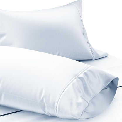 TEXAS LINEN CO. Luxury Egyptian Cotton King Pillow Cases Set of 2-1000 Thread Count Pillowcases for Sleeping, Soft, Cooling Pillow Cover, Extra Long Staple Hotel Quality Pillow Cases - Light Blue
