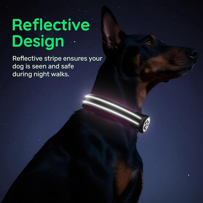 Airtag Dog Collar, Reflective Ultra-Durable Nylon Padded with QR Buckle & IP68 Waterproof Air Tag Holder Compatible for Apple AirTag, Comfortable for Small Medium Large Dogs (Black, XL)