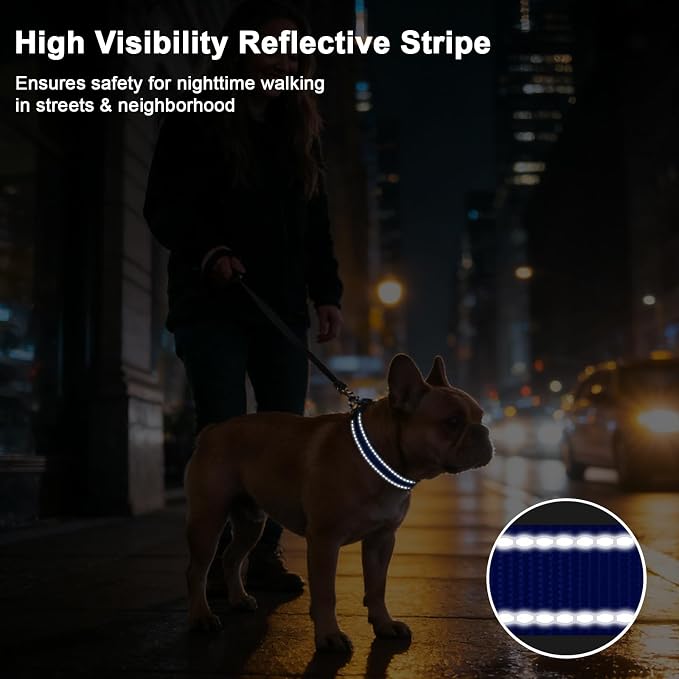 Taglory AirTag Dog Collar with Waterproof Holder for Medium Dogs, Navy Blue | Reflective for Night Walks & Low-Light Safety, Track Your Pup Peace of Mind, Adjustable Soft Padded, No More Dangling Tags M