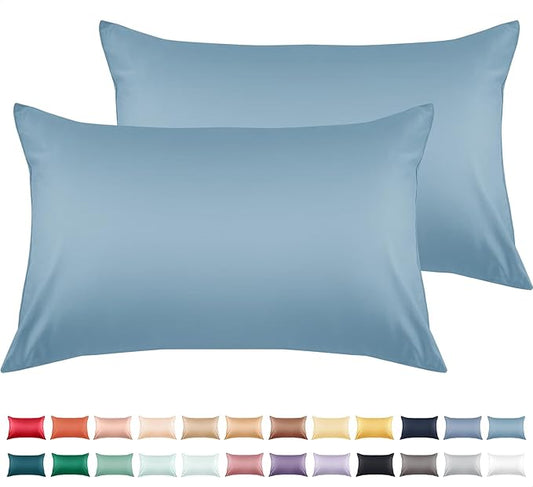 Warmstar Cotton Pillow Cases Queen Size Set of 2, 600 Thread Count Pillowcases 20x30 Inches, Soft Long Staple Cotton Pillowcases Breathable with Envelope Closure, Placid Blue