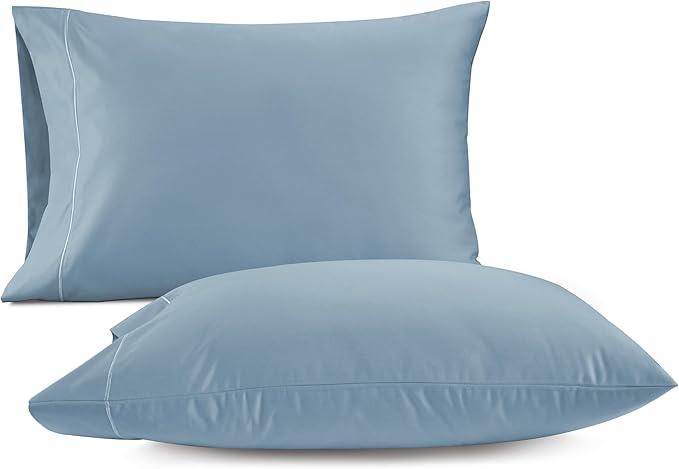 LANE LINEN 100% Egyptian Cotton Pillow Cases Queen Size Set of 2 (20"x30") - 1000 Thread Count - Soft Light Blue Pillow Cases - French Blue