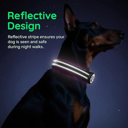 Airtag Dog Collar, Reflective Ultra-Durable Nylon Padded with QR Code Buckle & IP68 Waterproof Air Tag Holder Compatible for Apple AirTag, Comfortable for Small Medium Large Dogs(Black,M)