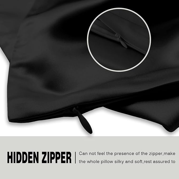 Silk Pillow Cases 2 Pack,Soft Breathable and Sliky Queen Size Pillow Cases Set of 2,Natural Mulberry Silk Pillowcase Set of 2 for Hair and Skin with Hidden Zipper (Black,20"X 30",2pcs)